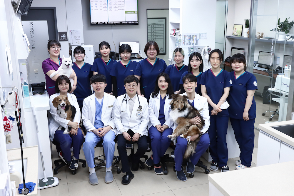 24시청주고려동물병원 진료처치센터 의료진